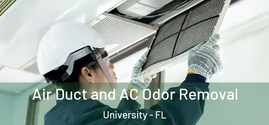 Air Duct and AC Odor Removal University - FL
