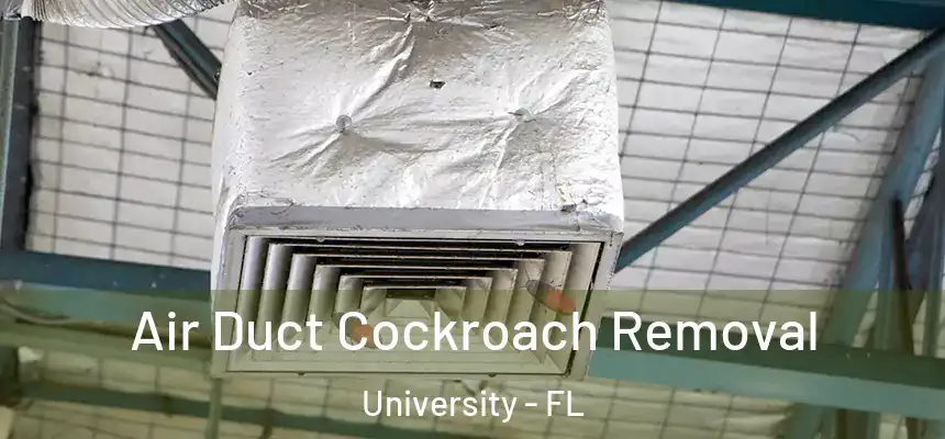 Air Duct Cockroach Removal University - FL