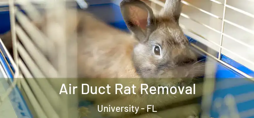 Air Duct Rat Removal University - FL