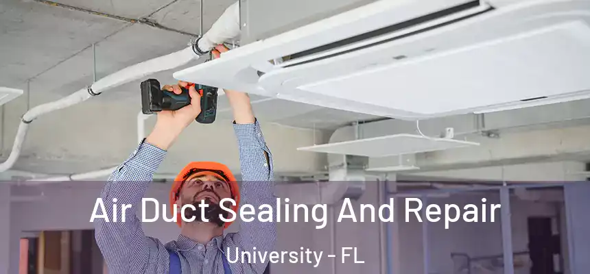 Air Duct Sealing And Repair University - FL