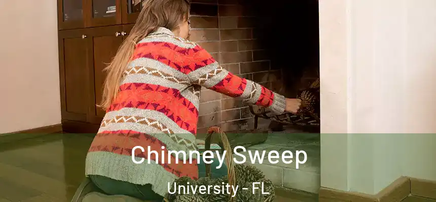 Chimney Sweep University - FL