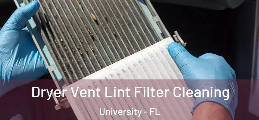 Dryer Vent Lint Filter Cleaning University - FL