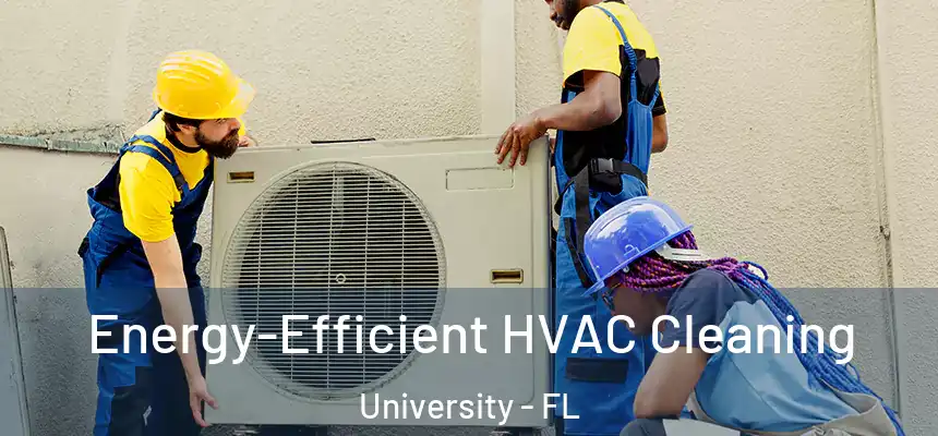 Energy-Efficient HVAC Cleaning University - FL