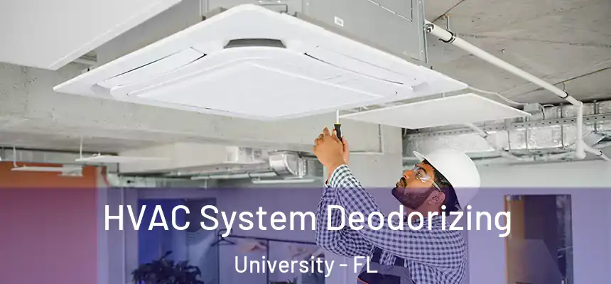 HVAC System Deodorizing University - FL