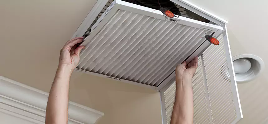 Our Insect Removal from Air Ducts Services in University, FL