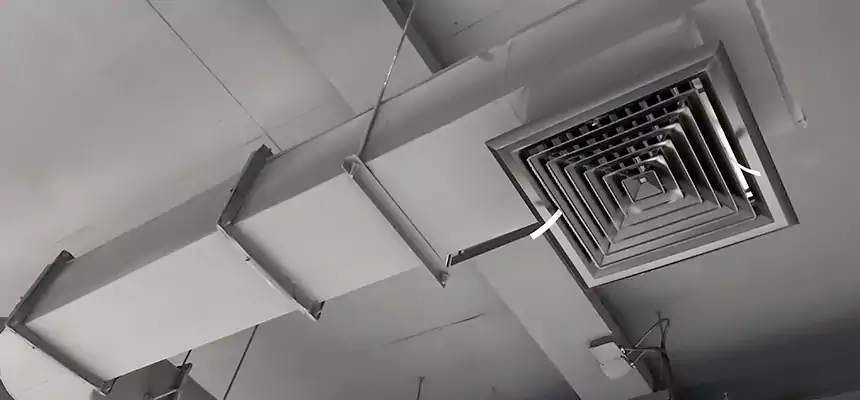 Our Pest Removal From Ducts Services in University, FL