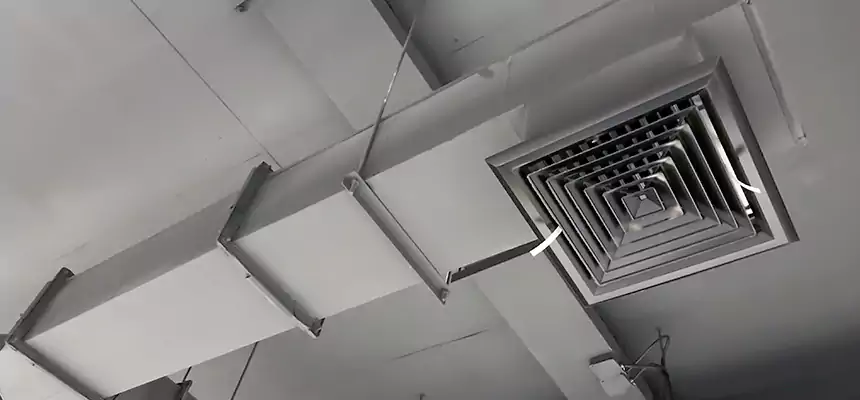 Our Rodent Droppings In Vents Services in University, FL