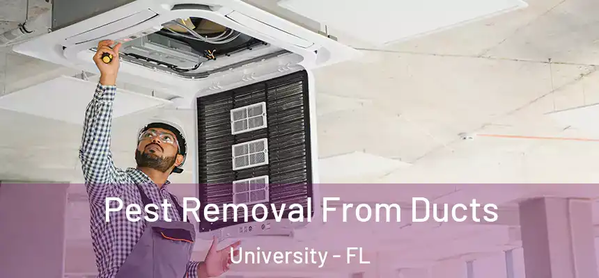 Pest Removal From Ducts University - FL