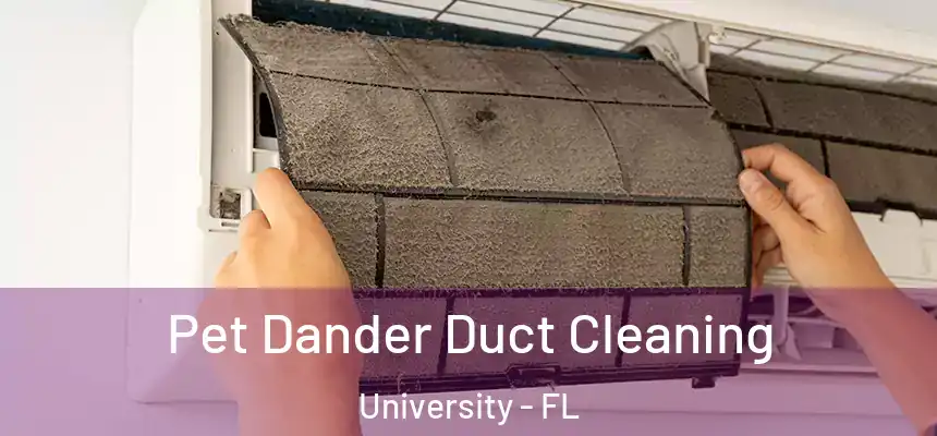 Pet Dander Duct Cleaning University - FL