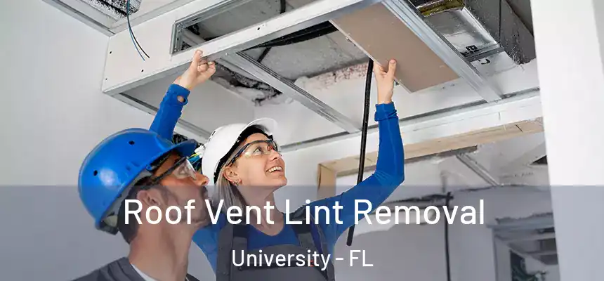 Roof Vent Lint Removal University - FL