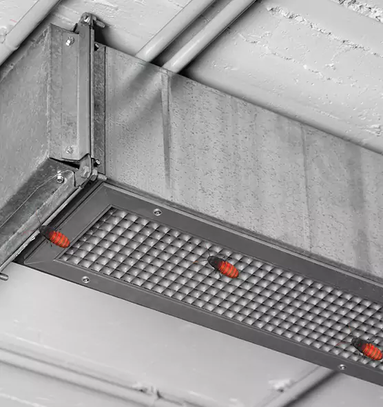 About Air Duct Cockroach Removal in University, FL