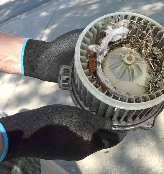 About Air Duct Rat Removal in University, FL