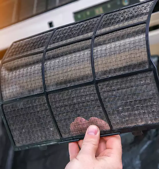 About Pet Dander Duct Cleaning in University, FL